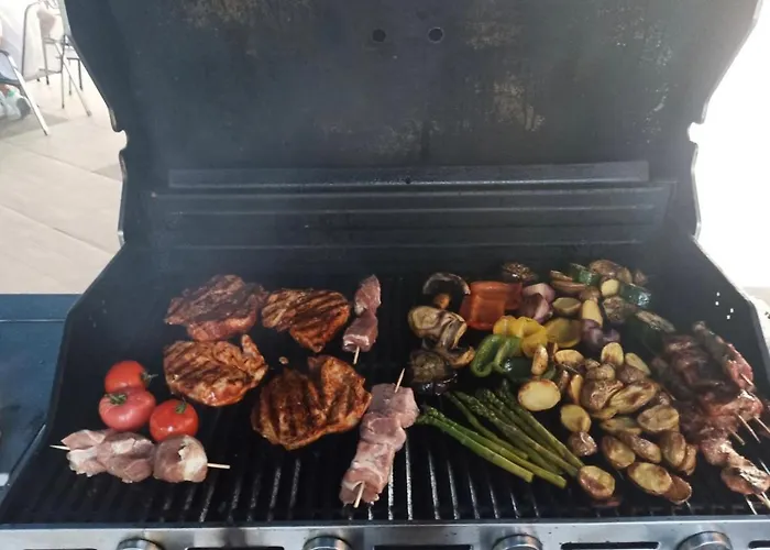 Racek Bådhotel Prag